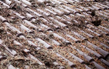 Garleffin roof cleaning companies