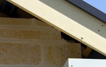 soffit repair Garleffin